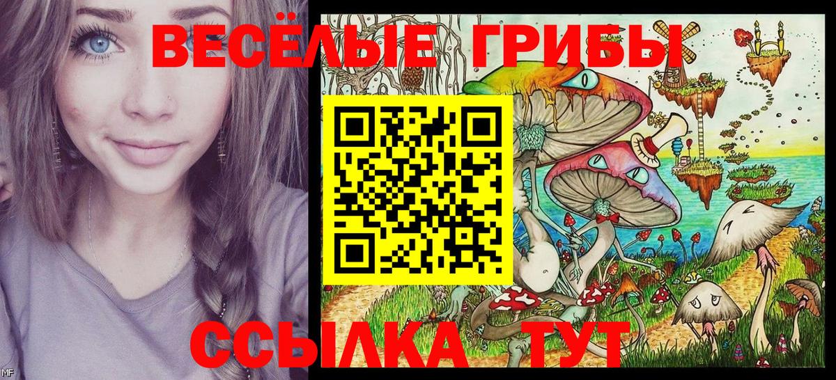 Галлюциногенные грибы GOLDEN TEACHER  Вход с VPN  Вичуга  Галлюциногенные грибы мухоморы 